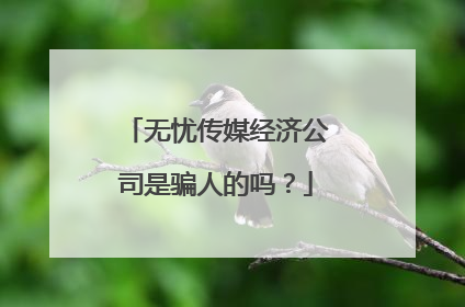 无忧传媒经济公司是骗人的吗?