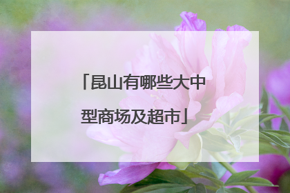 昆山有哪些大中型商场及超市