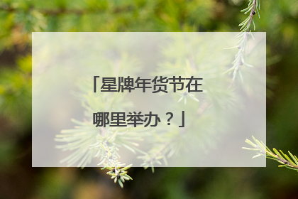 星牌年货节在哪里举办?