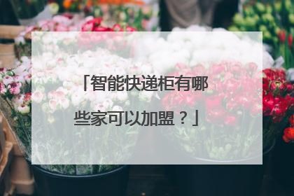 智能快递柜有哪些家可以加盟?
