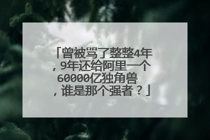 曾被骂了整整4年,9年还给阿里一个60000亿独角兽,谁是那个强者?