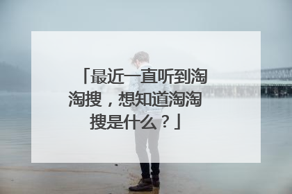 最近一直听到淘淘搜，想知道淘淘搜是什么？