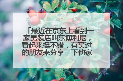 最近在京东上看到一家男装店叫东博利尼,看起来挺不错,有买过的朋友来分享一下他家衣服质量如何?