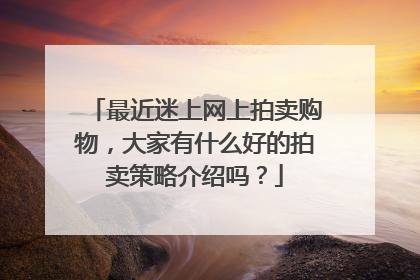 最近迷上网上拍卖购物,大家有什么好的拍卖策略介绍吗?