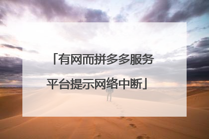 有网而拼多多服务平台提示网络中断