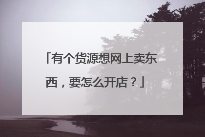 有个货源想网上卖东西,要怎么开店?