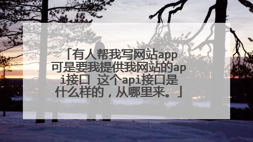 有人帮我写网站app 可是要我提供我网站的api接口 这个api接口是什么样的,从哪里来。
