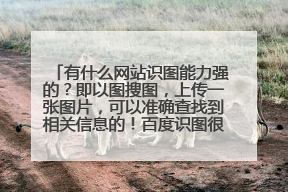 有什么网站识图能力强的？即以图搜图，上传一张图片，可以准确查找到相关信息的！百度识图很不准确啊，大