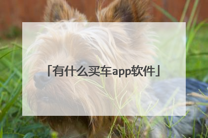 有什么买车app软件