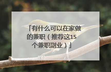 有什么可以在家做的兼职（推荐这15个兼职副业）