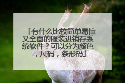 有什么比较简单易懂又全面的服装进销存系统软件？可以分为颜色，尺码，条形码
