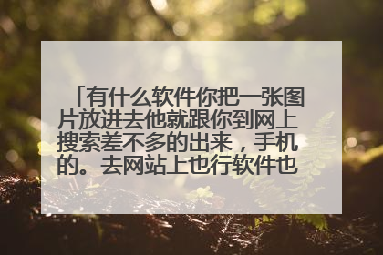 有什么软件你把一张图片放进去他就跟你到网上搜索差不多的出来，手机的。去网站上也行软件也可以。谢谢！