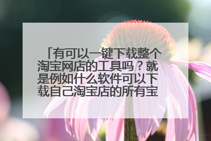有可以一键下载整个淘宝网店的工具吗？就是例如什么软件可以下载自己淘宝店的所有宝贝图片资料内容的