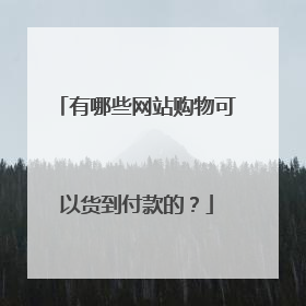 有哪些网站购物可以货到付款的?