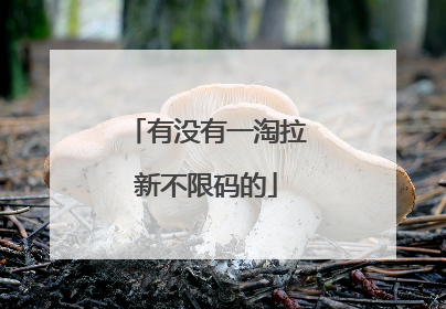 有没有一淘拉新不限码的