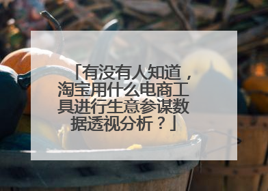 有没有人知道,淘宝用什么电商工具进行生意参谋数据透视分析?