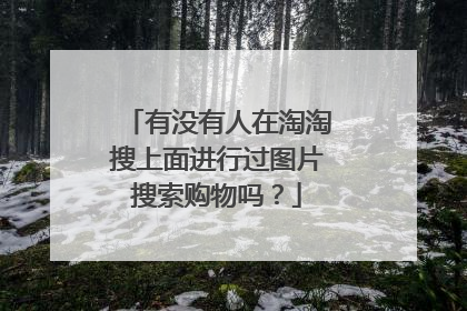 有没有人在淘淘搜上面进行过图片搜索购物吗?