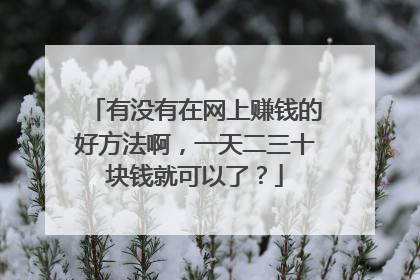 有没有在网上赚钱的好方法啊,一天二三十块钱就可以了?