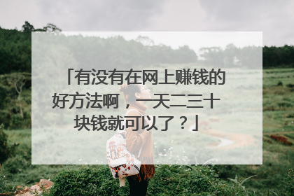 有没有在网上赚钱的好方法啊,一天二三十块钱就可以了?