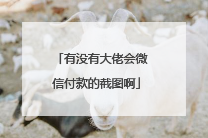 有没有大佬会微信付款的截图啊