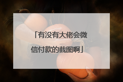 有没有大佬会微信付款的截图啊