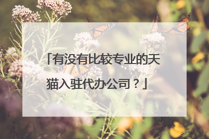 有没有比较专业的天猫入驻代办公司?