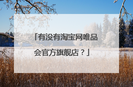 有没有淘宝网唯品会官方旗舰店?