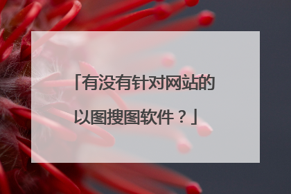 有没有针对网站的以图搜图软件?