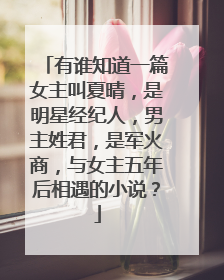 有谁知道一篇女主叫夏晴,是明星经纪人,男主姓君,是军火商,与女主五年后相遇的小说?