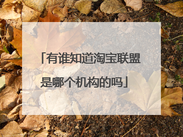 有谁知道淘宝联盟是哪个机构的吗
