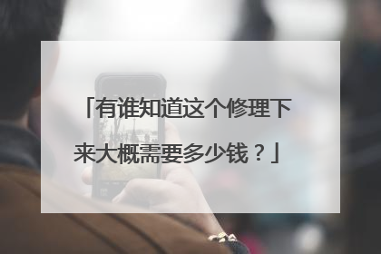有谁知道这个修理下来大概需要多少钱?