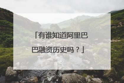 有谁知道阿里巴巴融资历史吗?