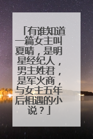 有谁知道一篇女主叫夏晴,是明星经纪人,男主姓君,是军火商,与女主五年后相遇的小说?