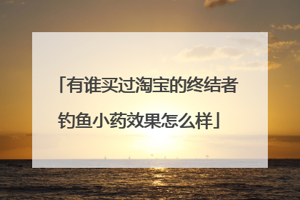 有谁买过淘宝的终结者钓鱼小药效果怎么样