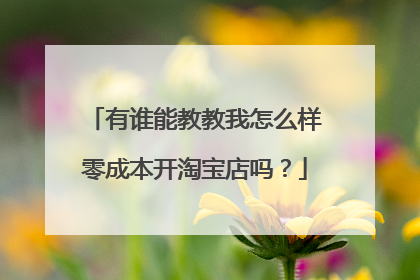 有谁能教教我怎么样零成本开淘宝店吗?