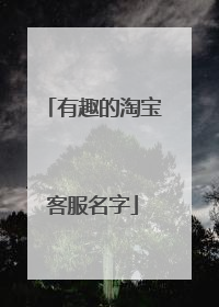 有趣的淘宝客服名字