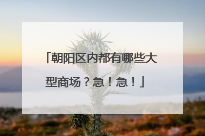 朝阳区内都有哪些大型商场？急！急！