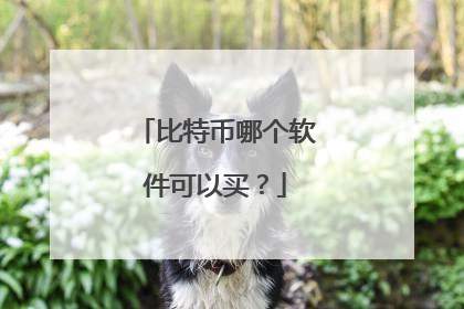 比特币哪个软件可以买?