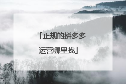 正规的拼多多运营哪里找