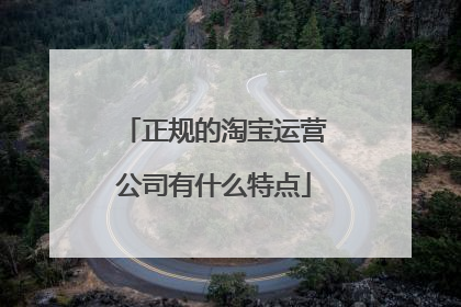 正规的淘宝运营公司有什么特点