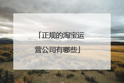 正规的淘宝运营公司有哪些