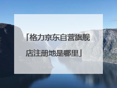 格力京东自营旗舰店注册地是哪里