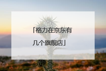 格力在京东有几个旗舰店