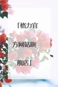 格力官方网站旗舰店