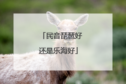 民音琵琶好还是乐海好