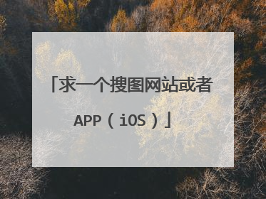 求一个搜图网站或者APP（iOS）