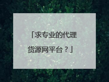 求专业的代理货源网平台?