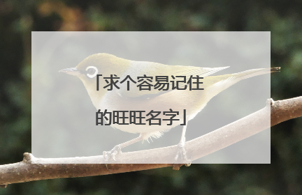 求个容易记住的旺旺名字