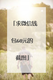 求微信钱包60元的截图