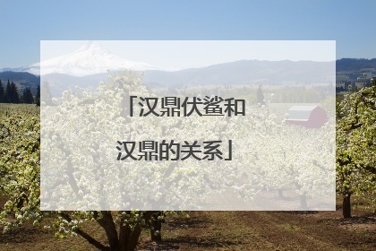 汉鼎伏鲨和汉鼎的关系